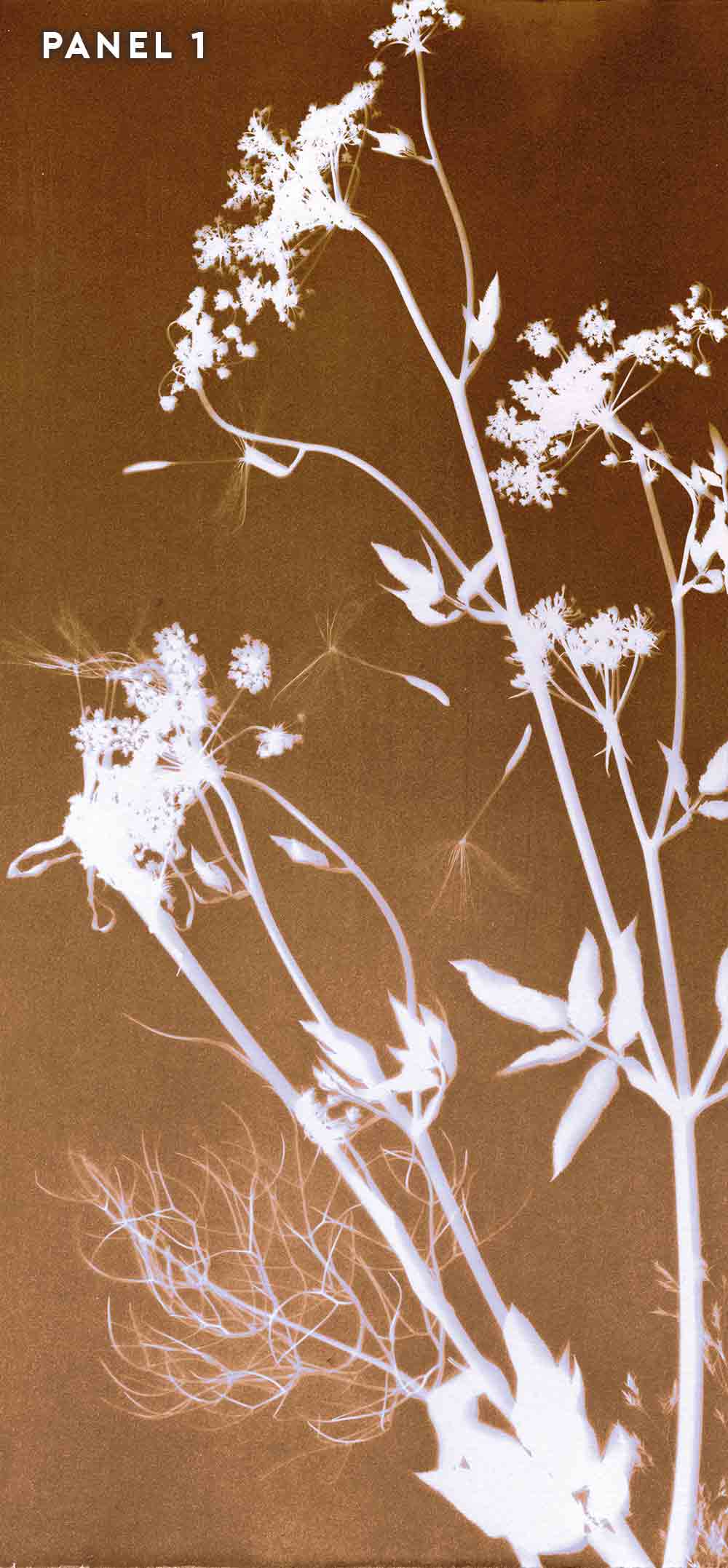 PHANTOM FLORA - SEPIATYPE TAPESTRY