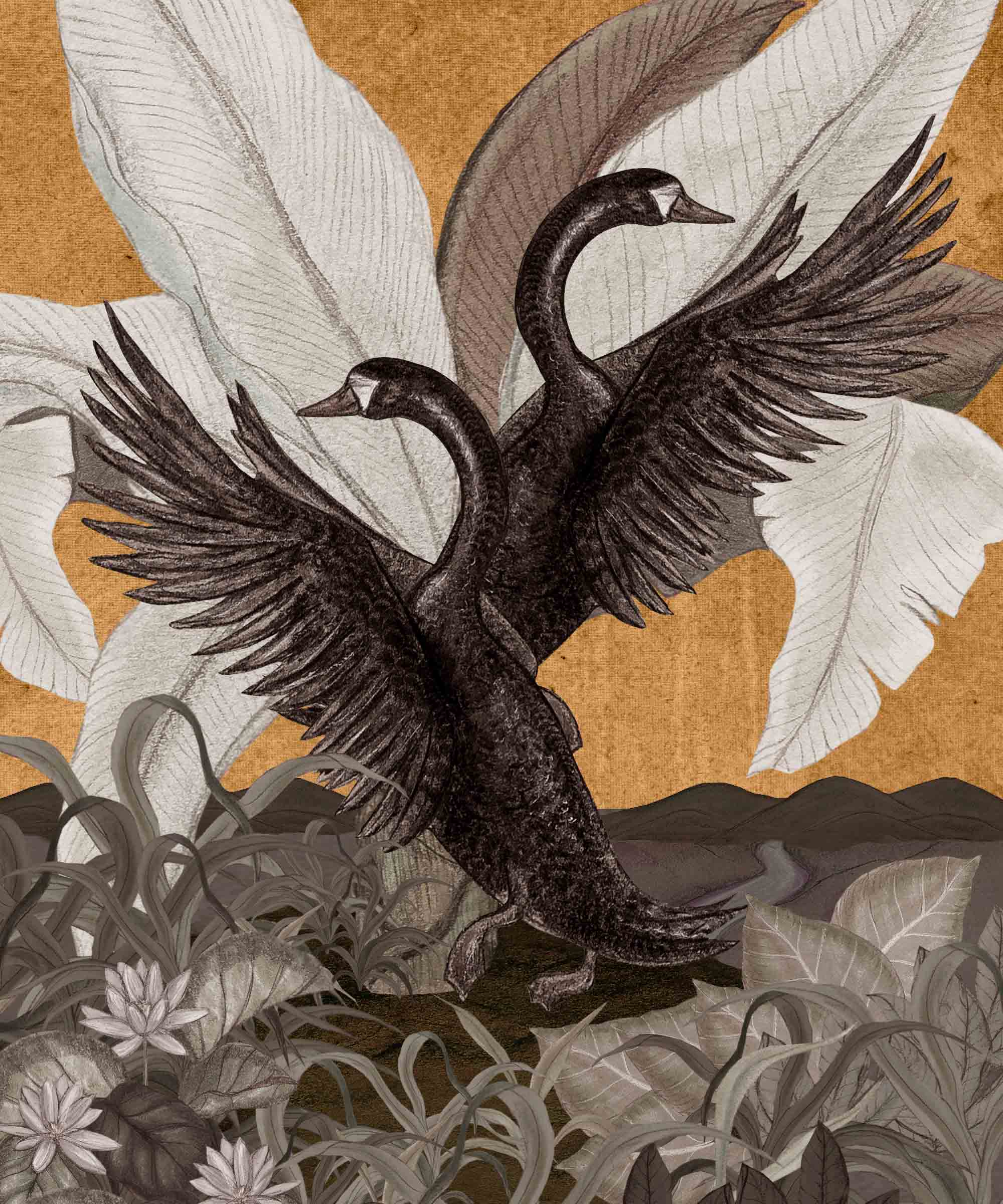 PARAMOUR - TRÉSOR SAMPLE