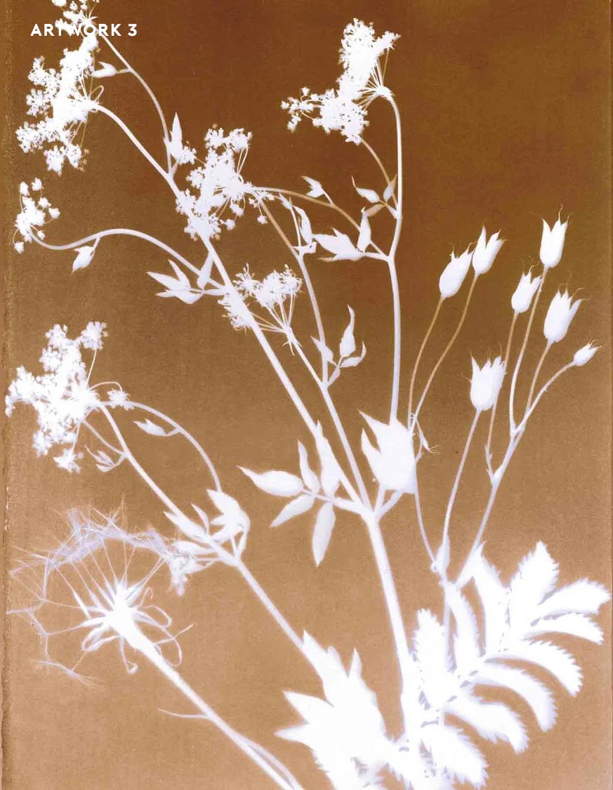 PHANTOM FLORA - SEPIATYPE