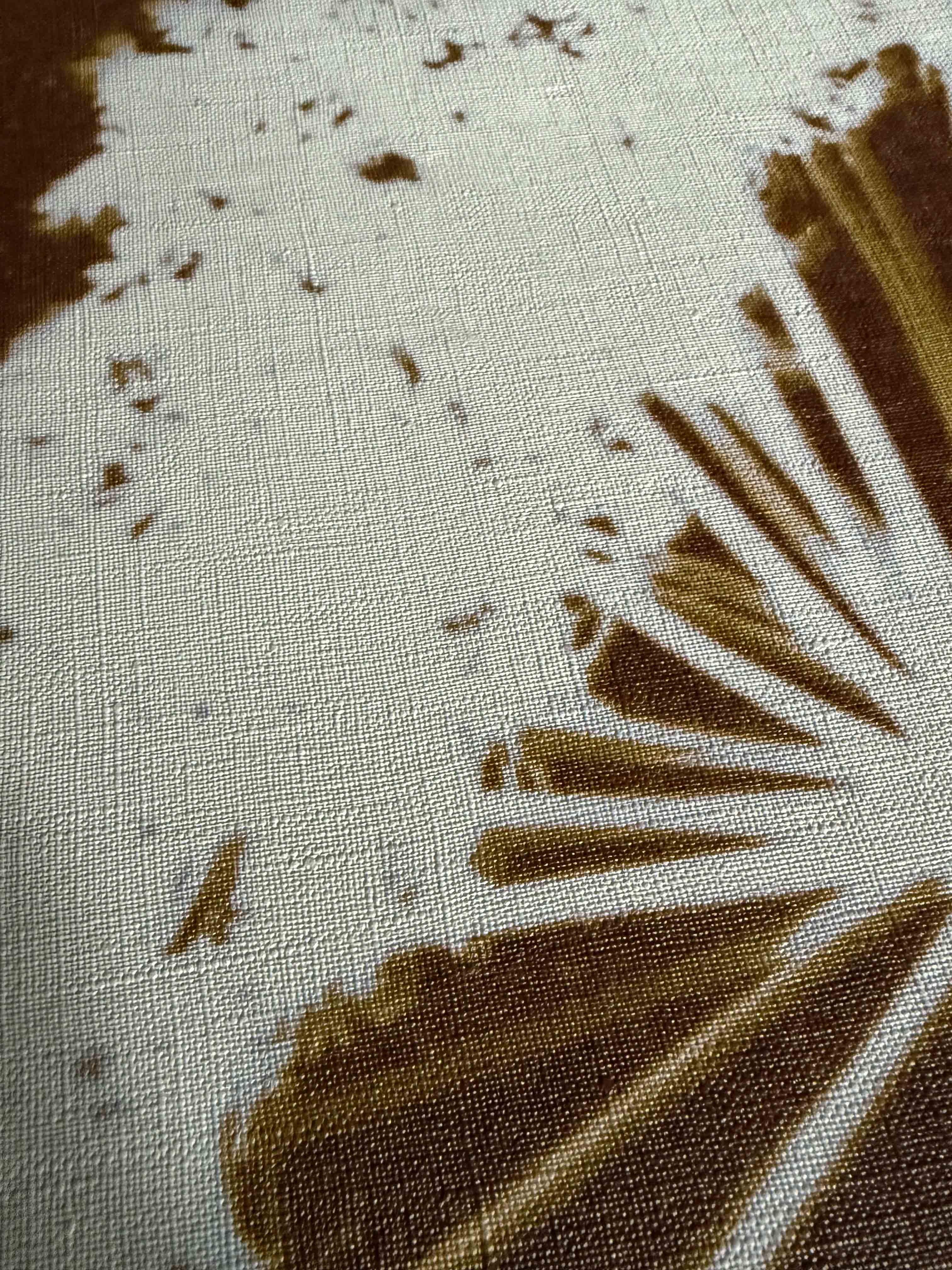 PHANTOM FLORA - SEPIATYPE TAPESTRY