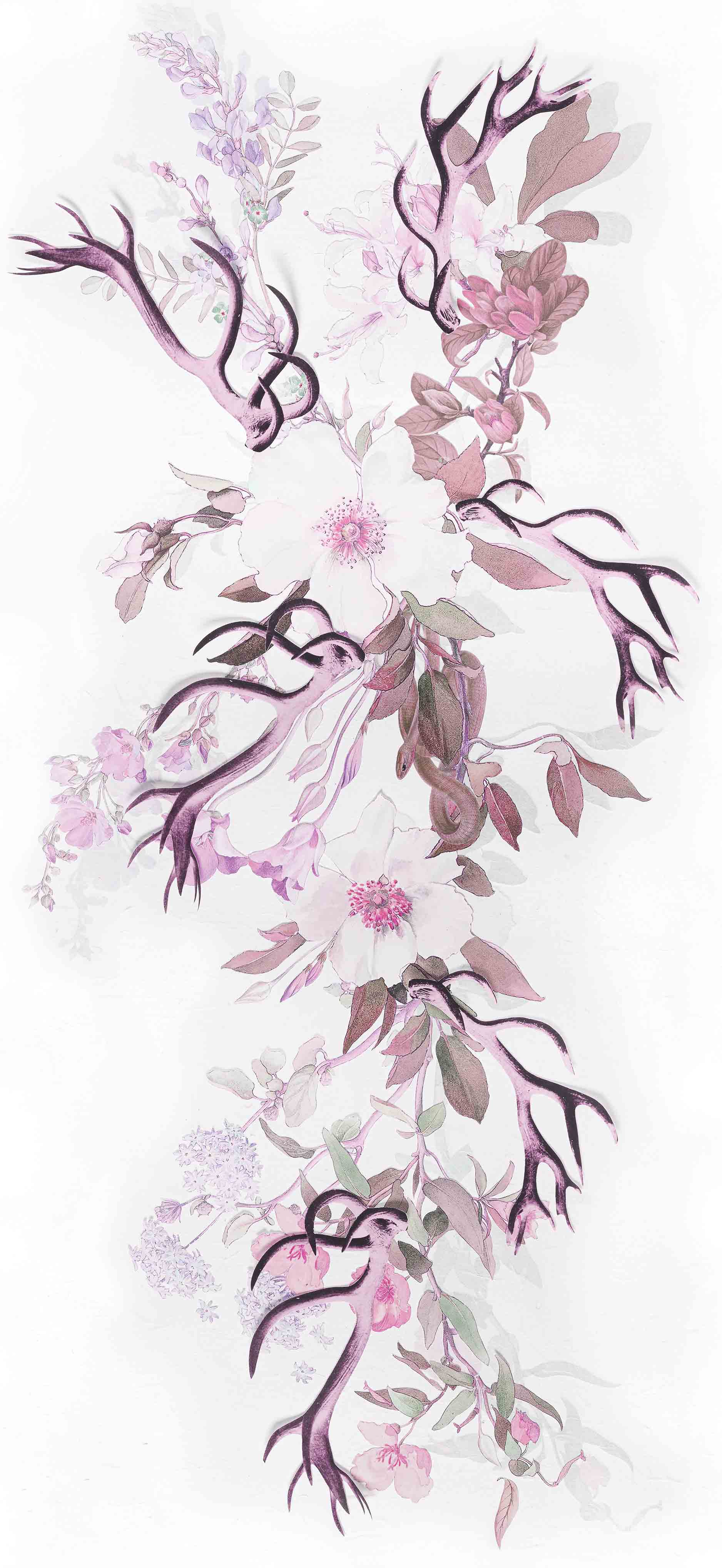 MAIDENHAIR - AMARANTH SAMPLE