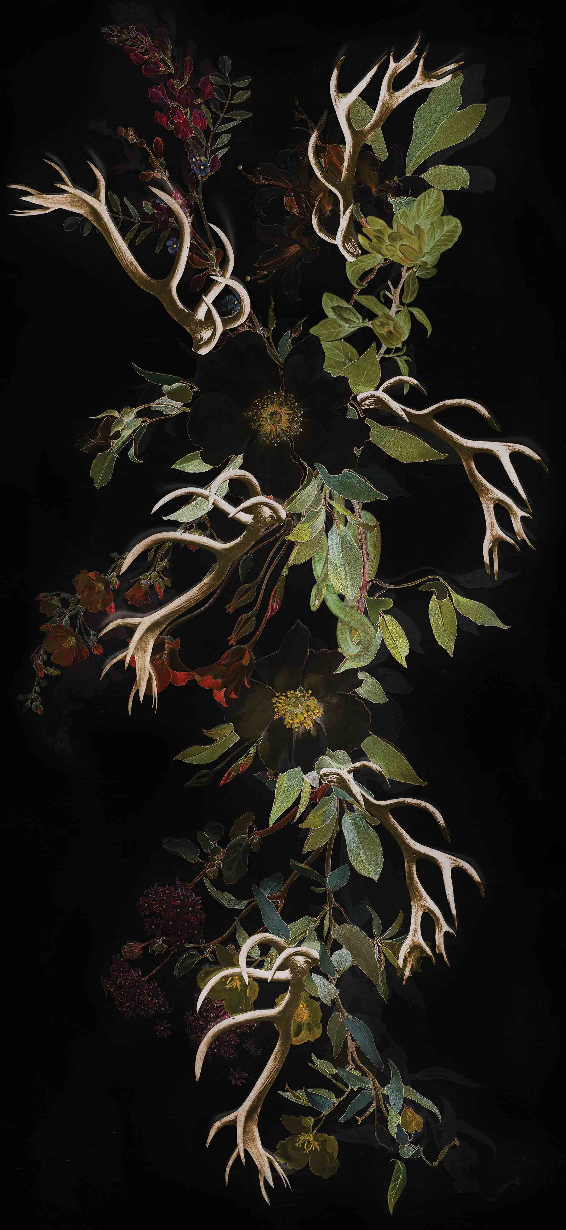 MAIDENHAIR - NEITHERLAND SAMPLE