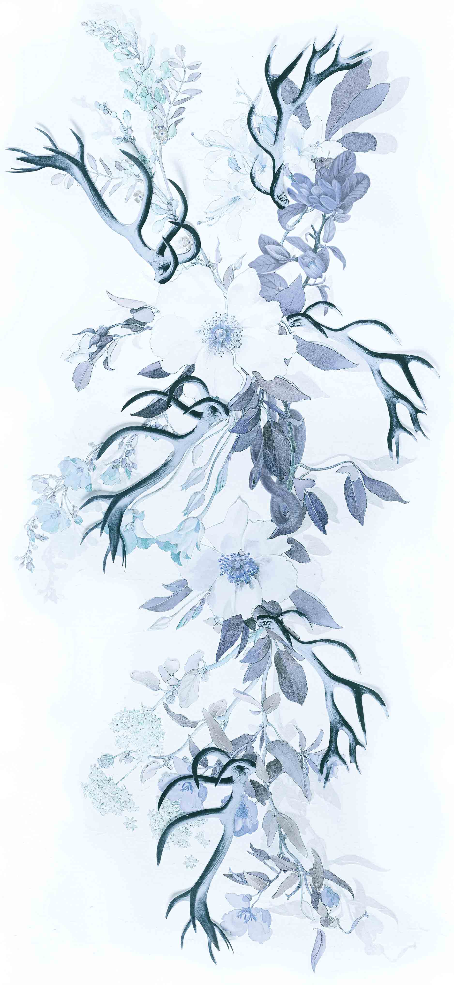 MAIDENHAIR - OPAL SAMPLE