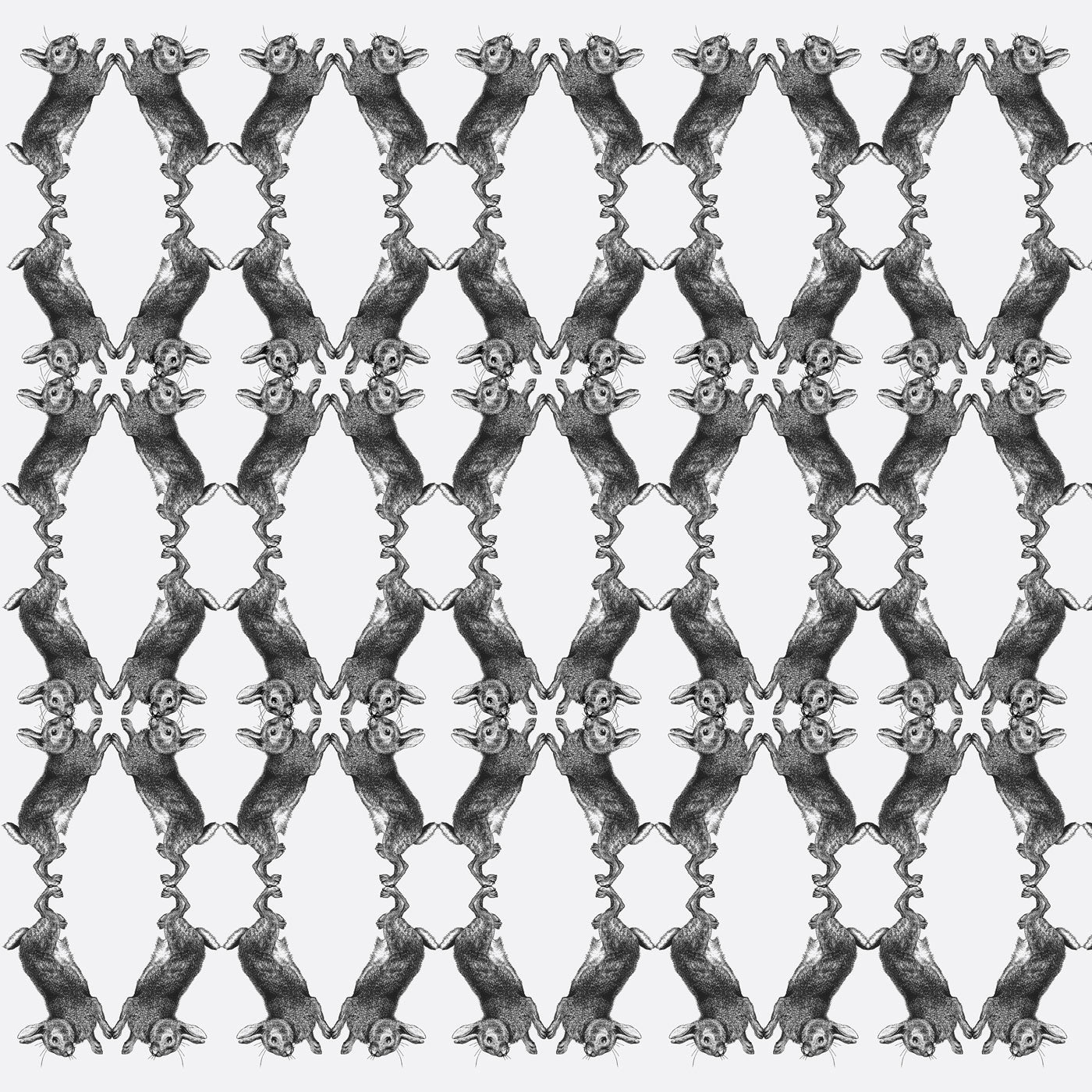 AT IT LIKE BUNNIES - ANGORA SAMPLE