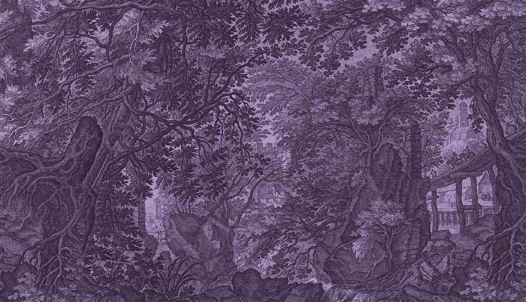 BOTANICA - ELDERBERRY