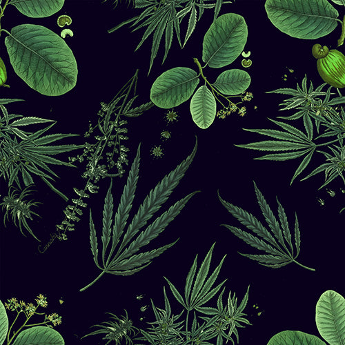 O CANNADA - INDICA SAMPLE