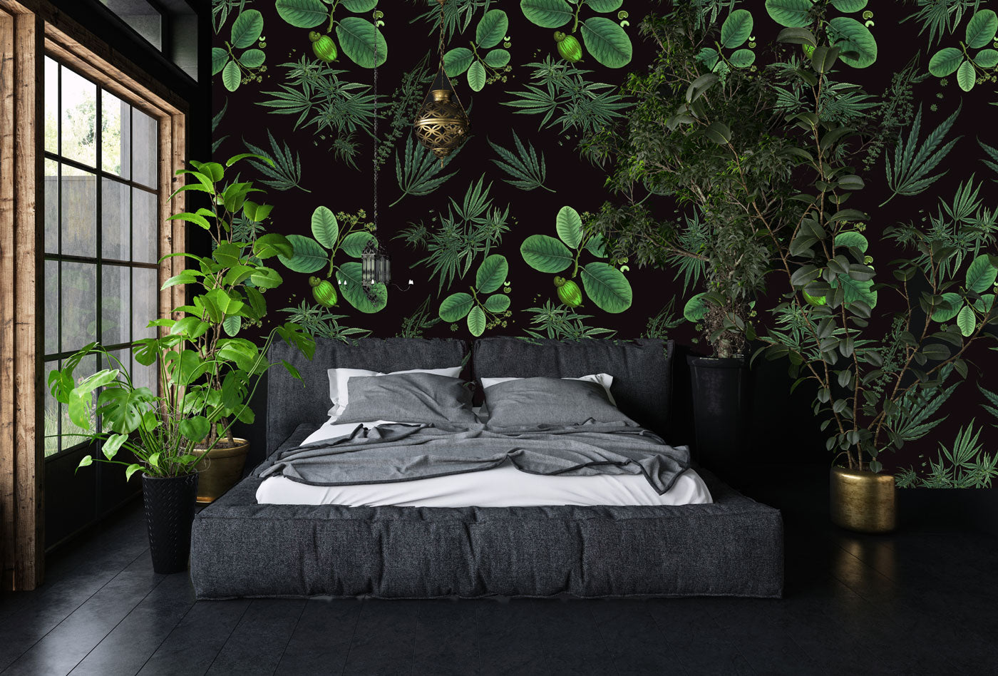 O CANNADA - LARGE SCALE - INDICA