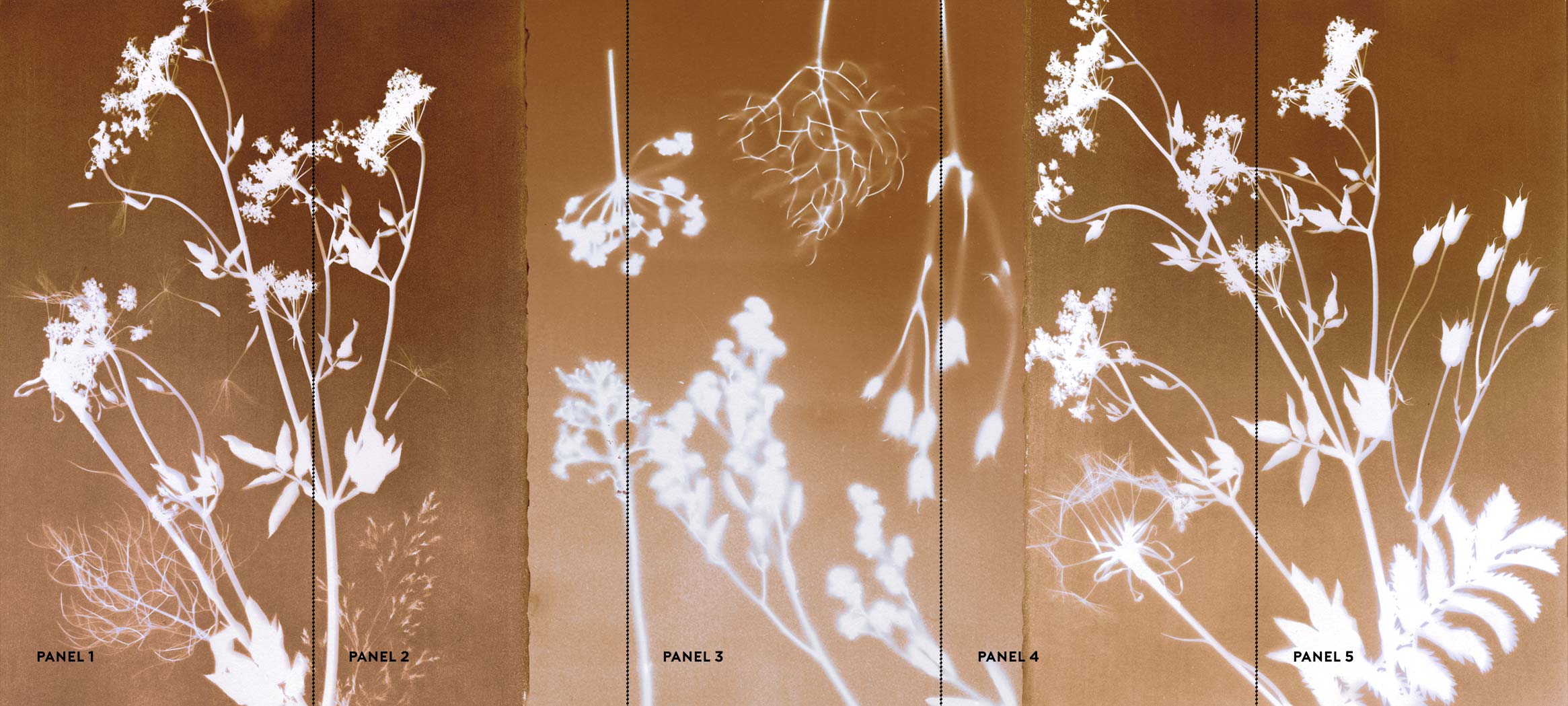 PHANTOM FLORA - SEPIATYPE