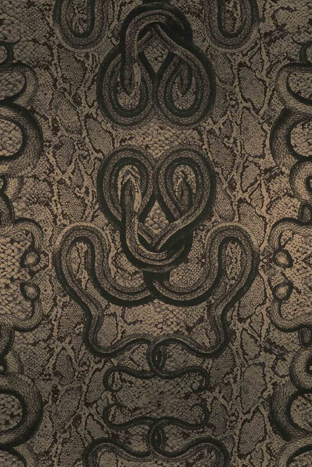 SERPENTINE - COIL - METALLIC PYRITE SAMPLE