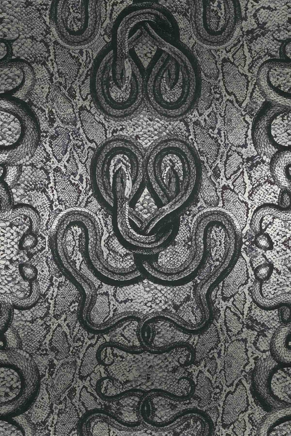 SERPENTINE - SSSILVER - METALLIC PYRITE SAMPLE