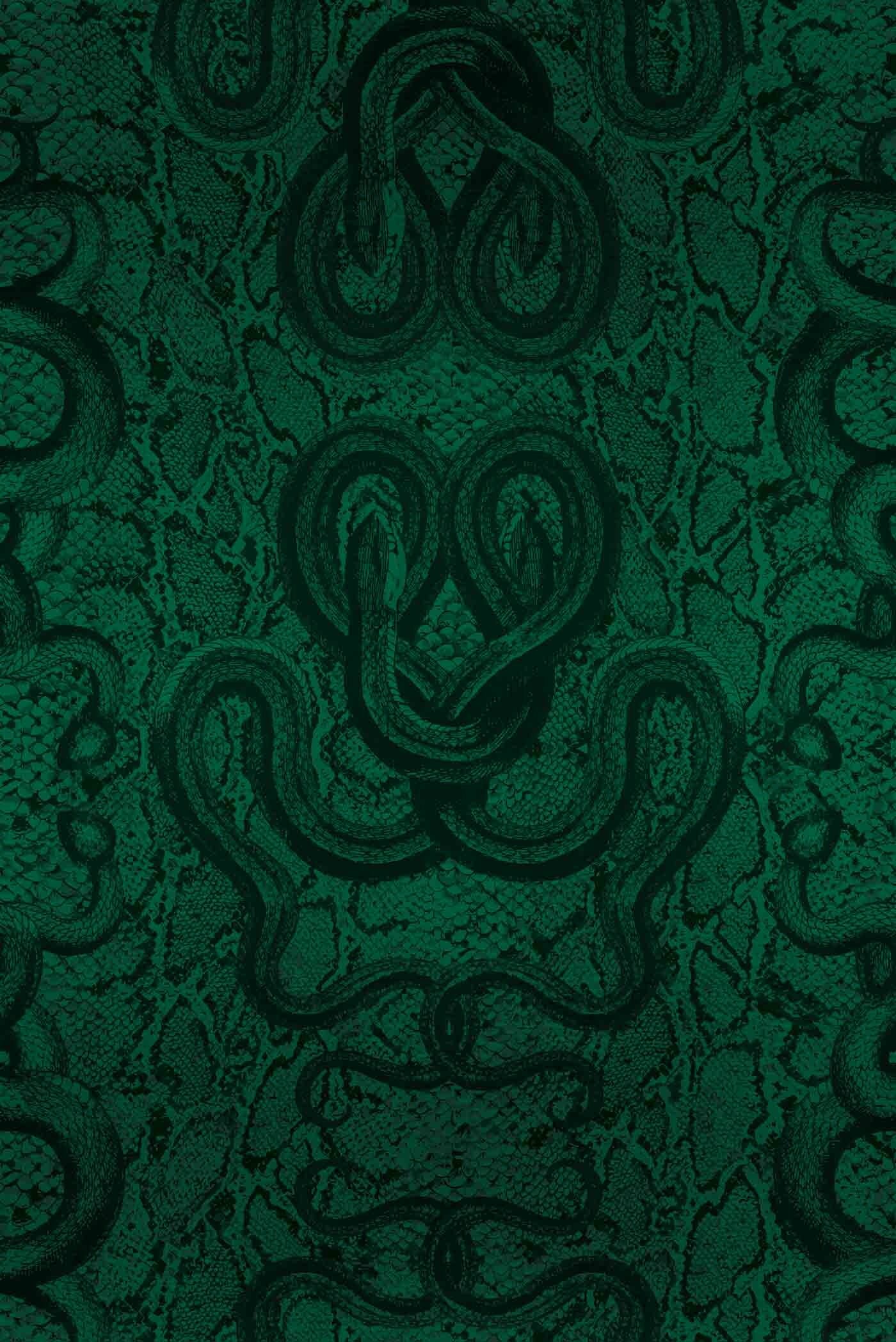 SERPENTINE - VENOM SMALLPAPER