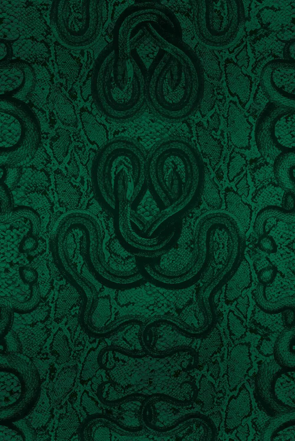 SERPENTINE - VENOM - METALLIC PYRITE SAMPLE