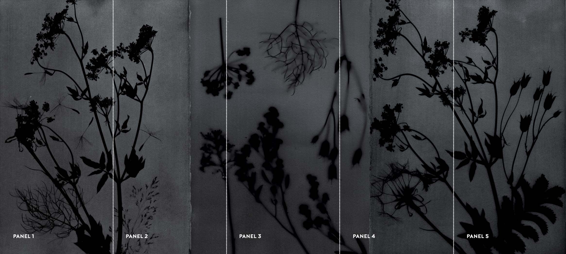 PHANTOM FLORA - SHADOWTYPE