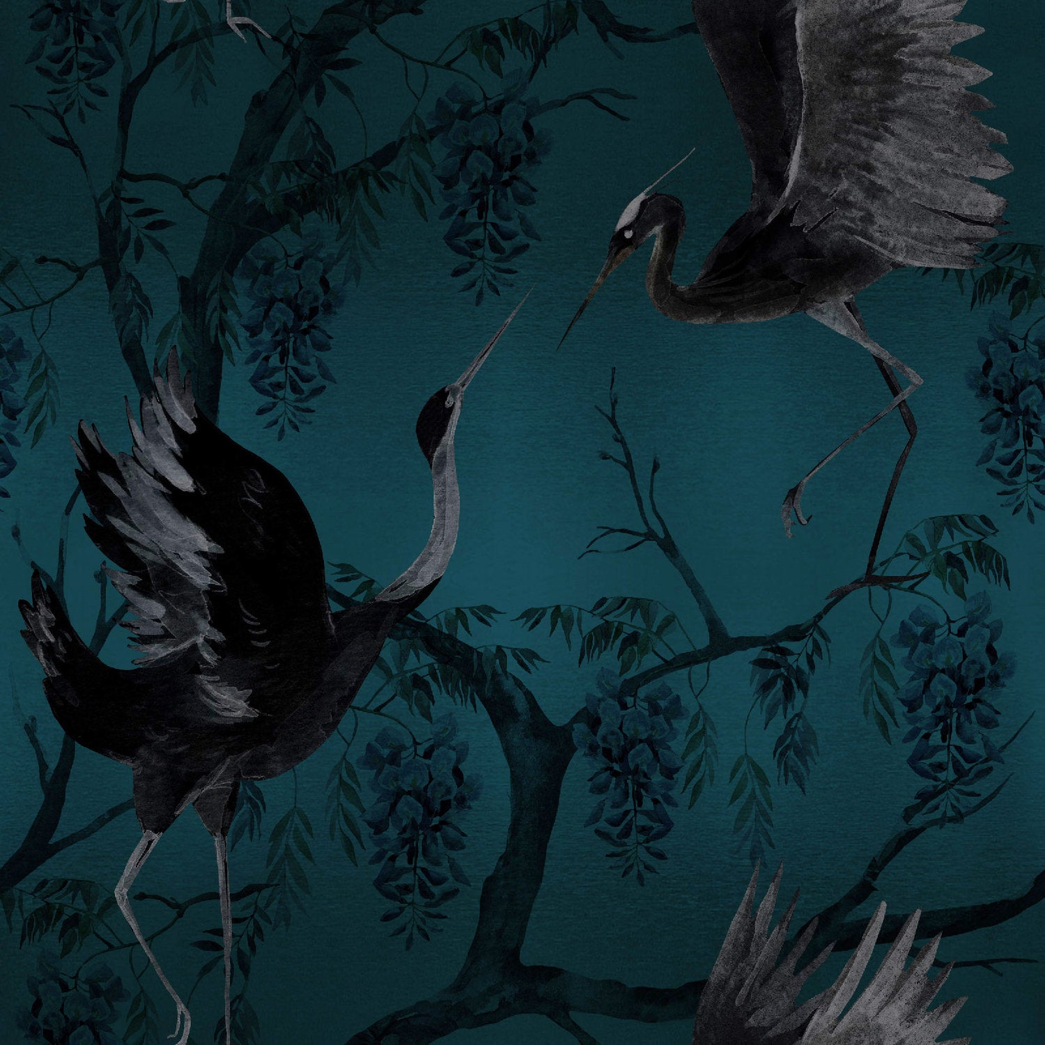 PARADIS - PEACOCK