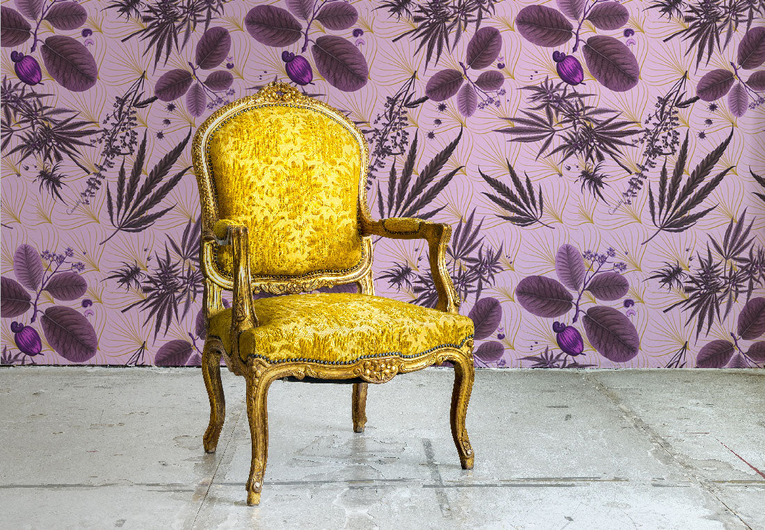 O CANNADA - LARGE SCALE - CHRONIC