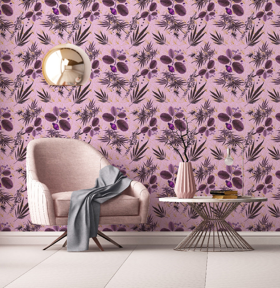 O CANNADA - SMALL SCALE - CHRONIC