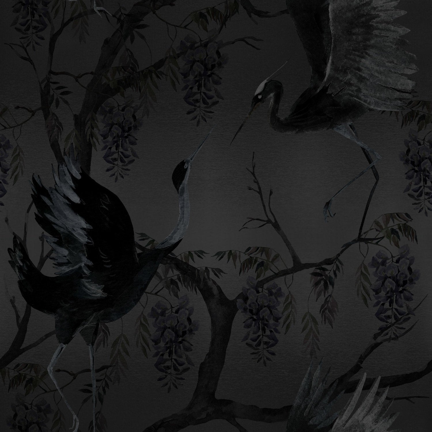 PARADIS - DAHLIA SAMPLE