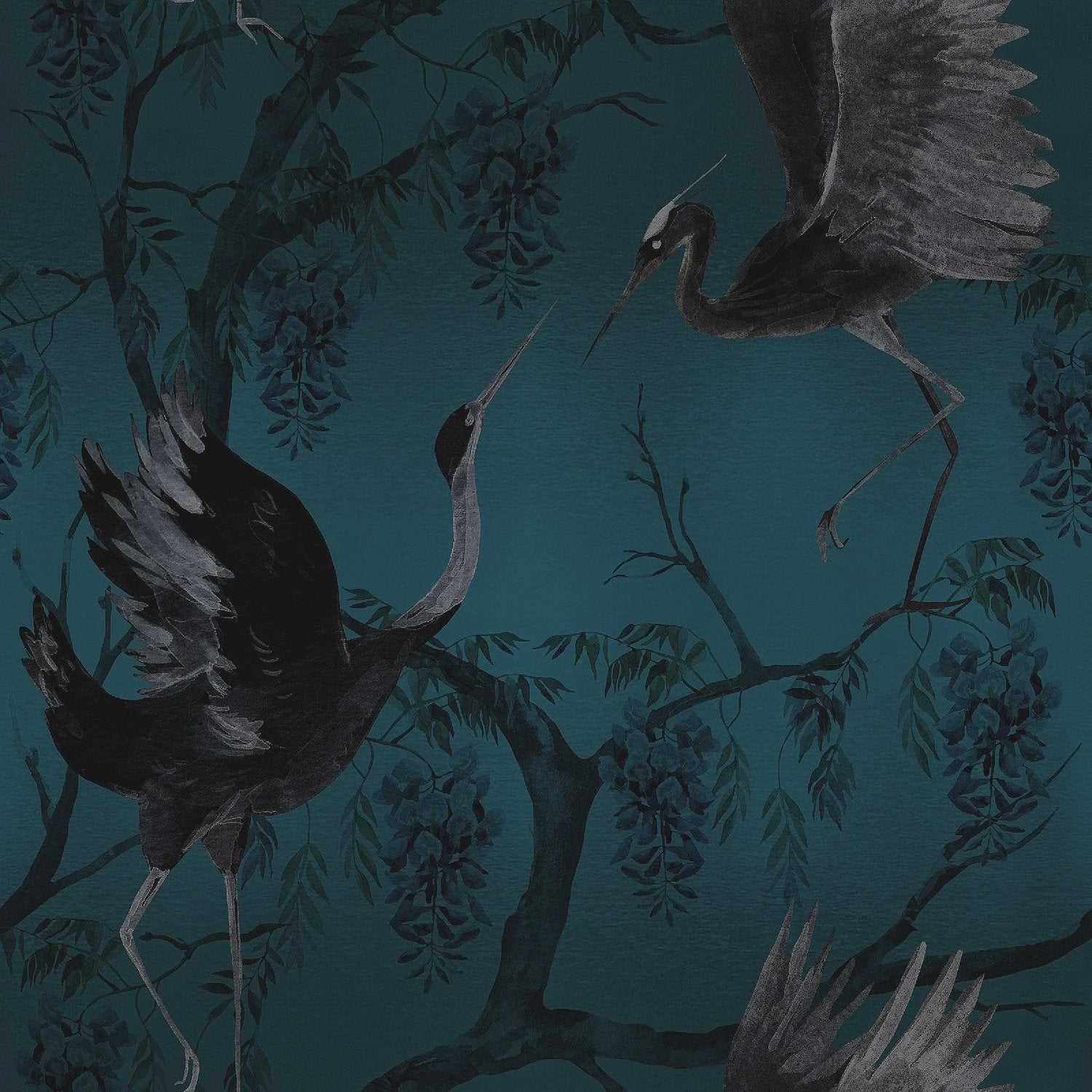 PARADIS - PEACOCK SAMPLE