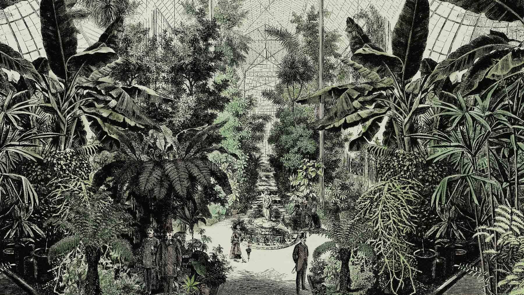 ARBORETUM SAMPLE