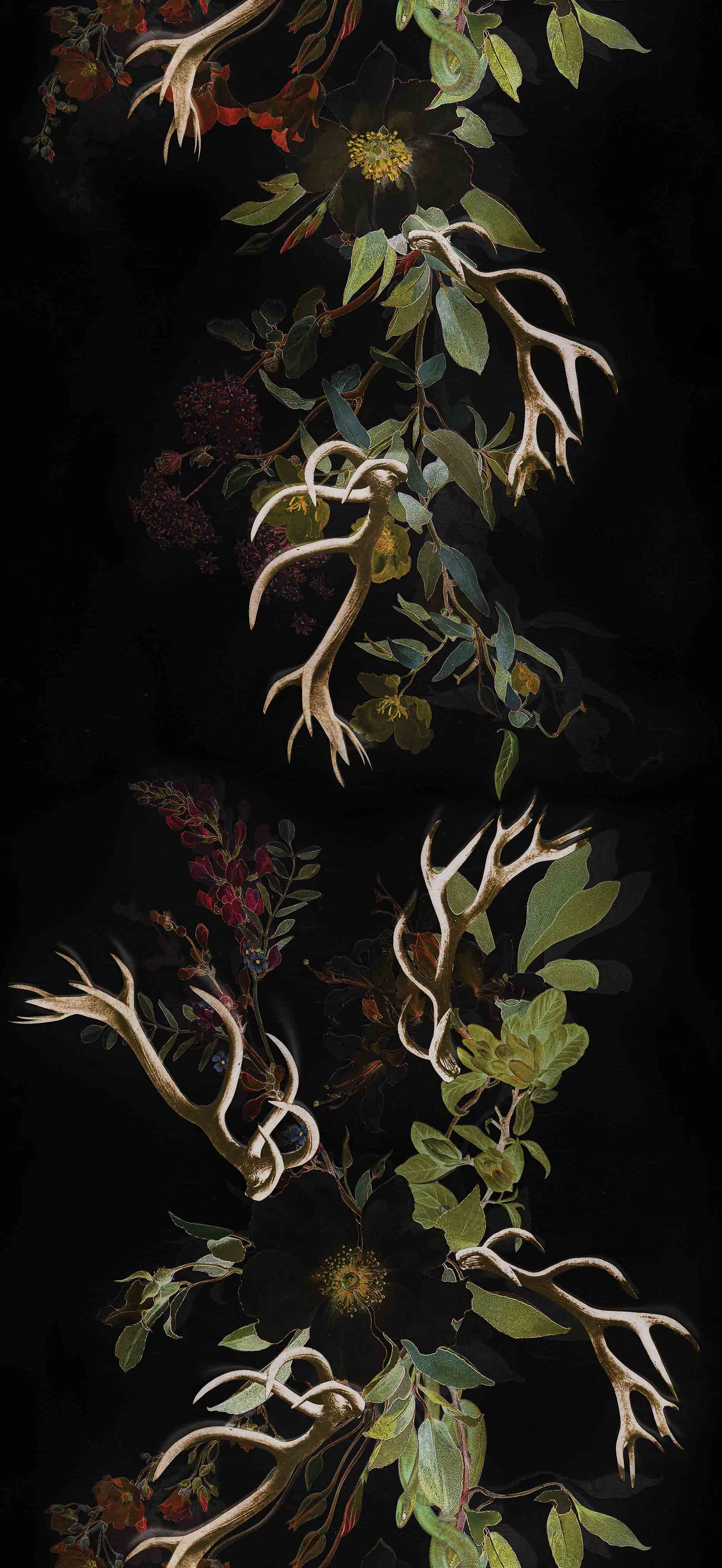 MAIDENHAIR - NEITHERLAND