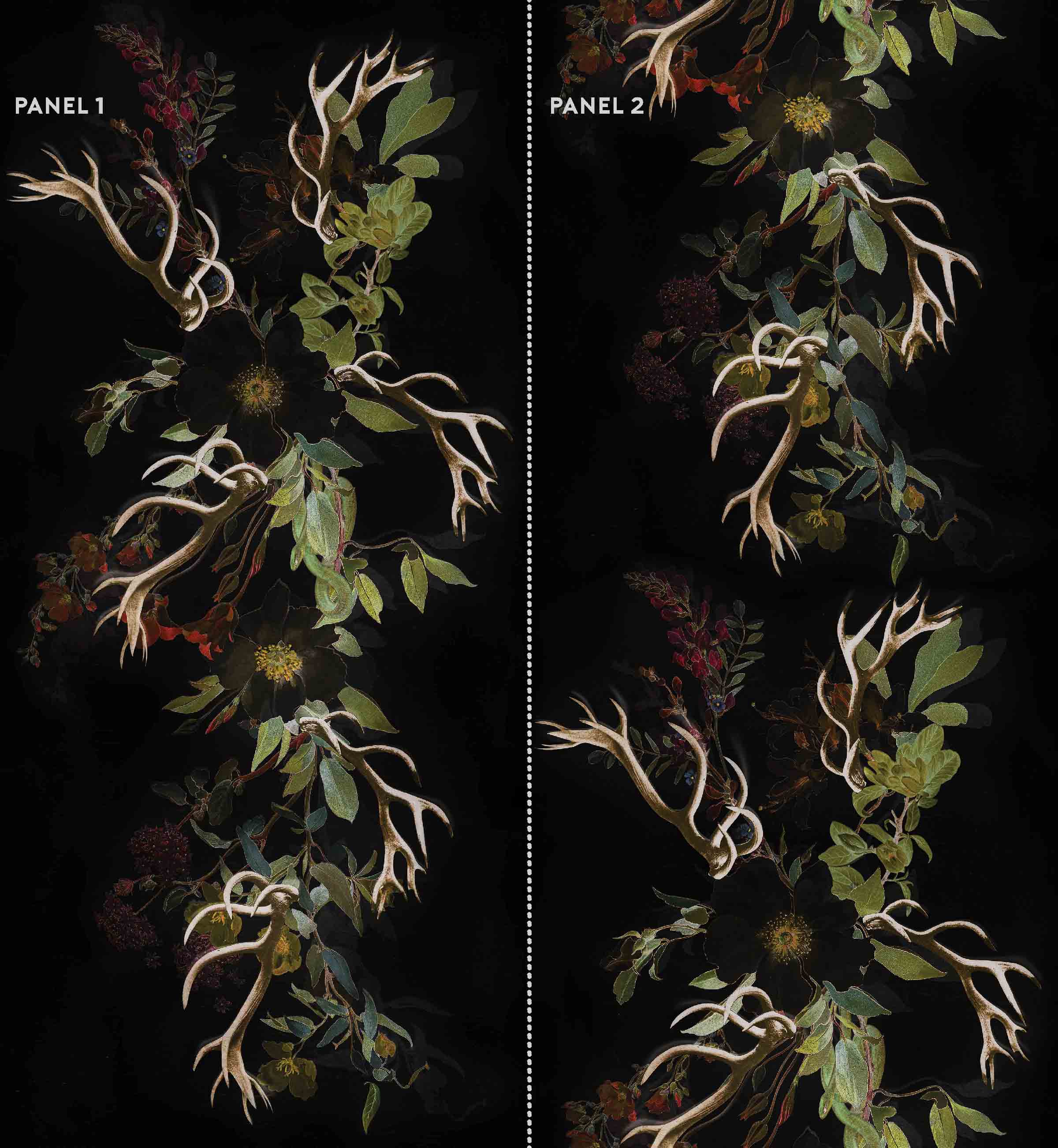 MAIDENHAIR - NEITHERLAND