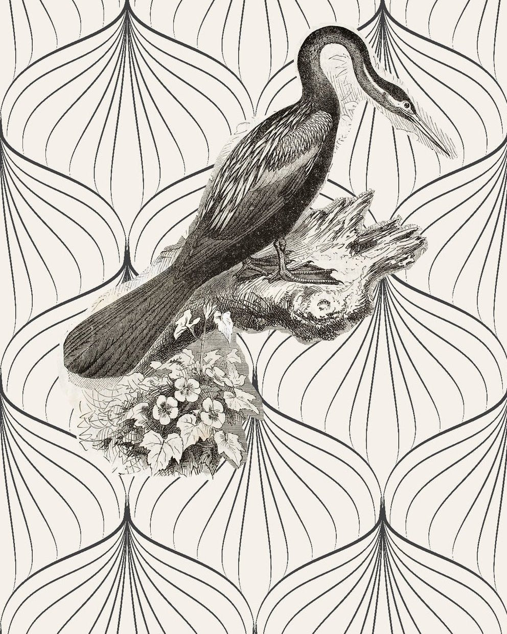 AUDUBON - ALABASTER SAMPLE
