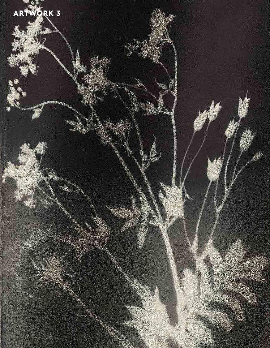 PHANTOM FLORA - DAGUERREOTYPE - METALLIC