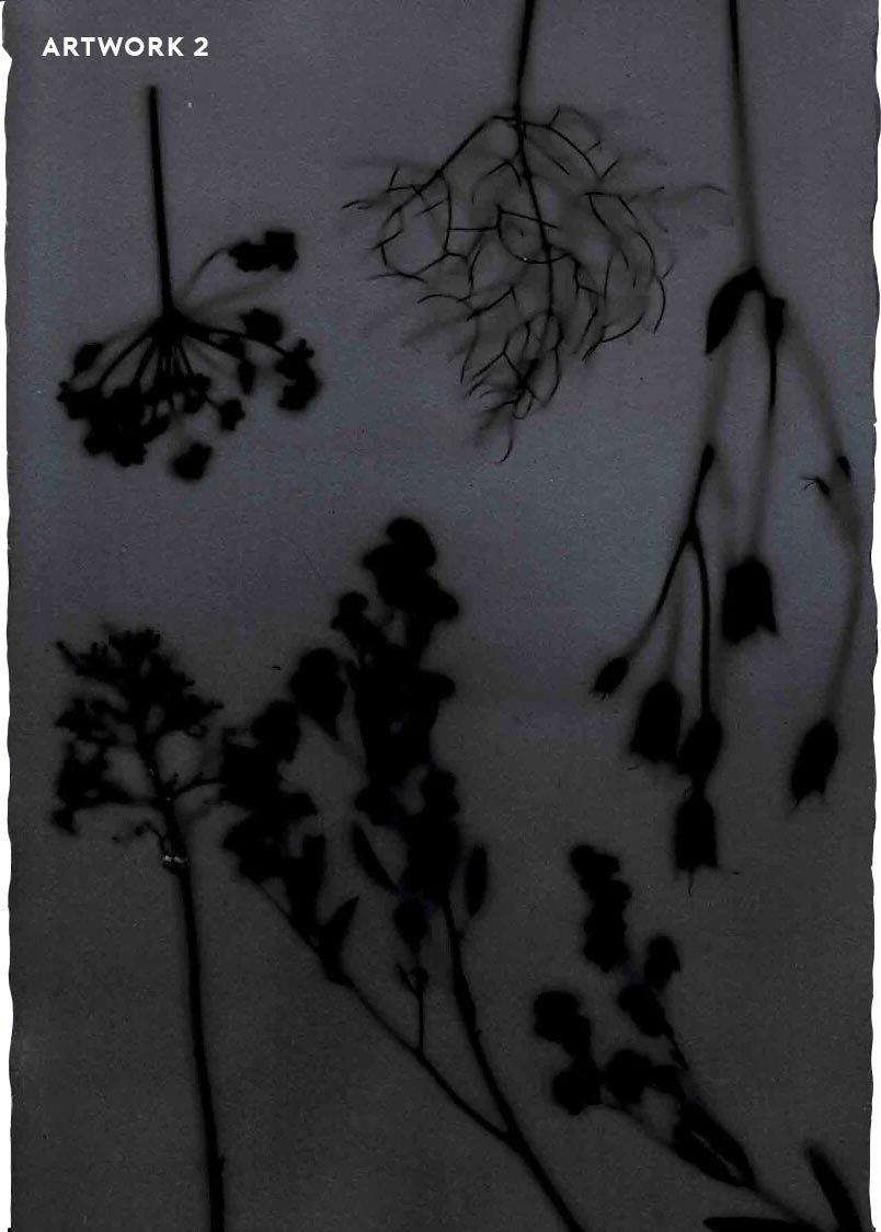 PHANTOM FLORA - SHADOWTYPE