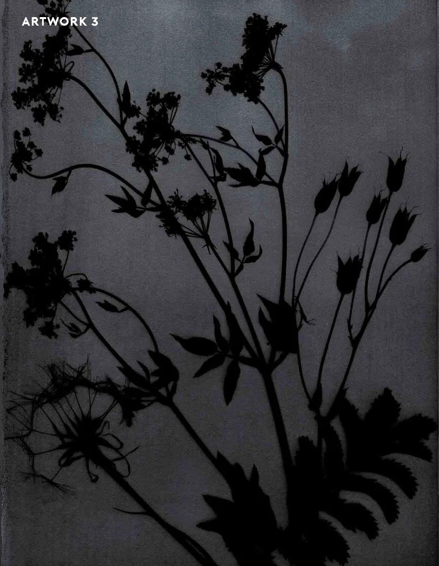PHANTOM FLORA - SHADOWTYPE