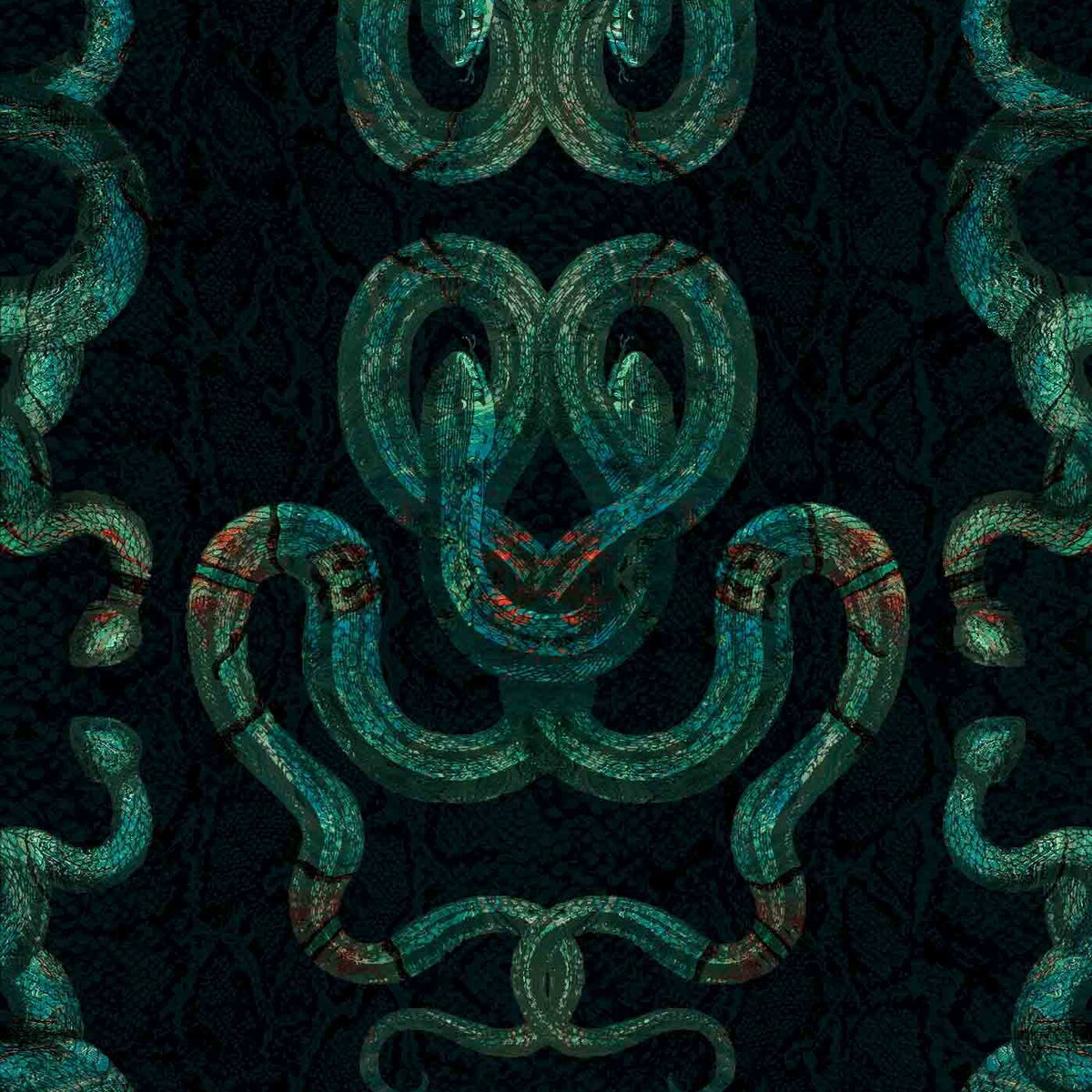 SERPENTINE - PYTHON– Fine & Dandy Co.