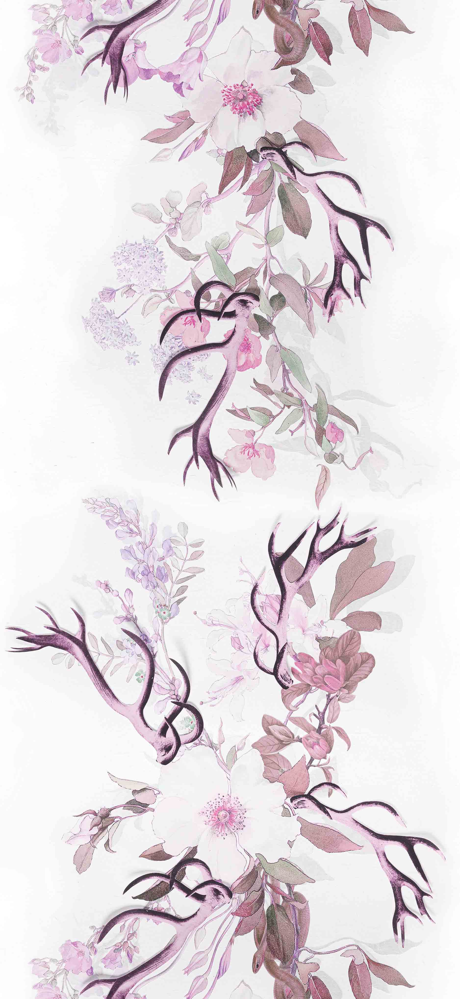 MAIDENHAIR - AMARANTH